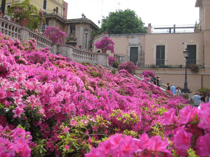 Ninewerthannew's tweet photo. @wantedinrome #SalveRoma https://t.co/yvvmeYSAqf