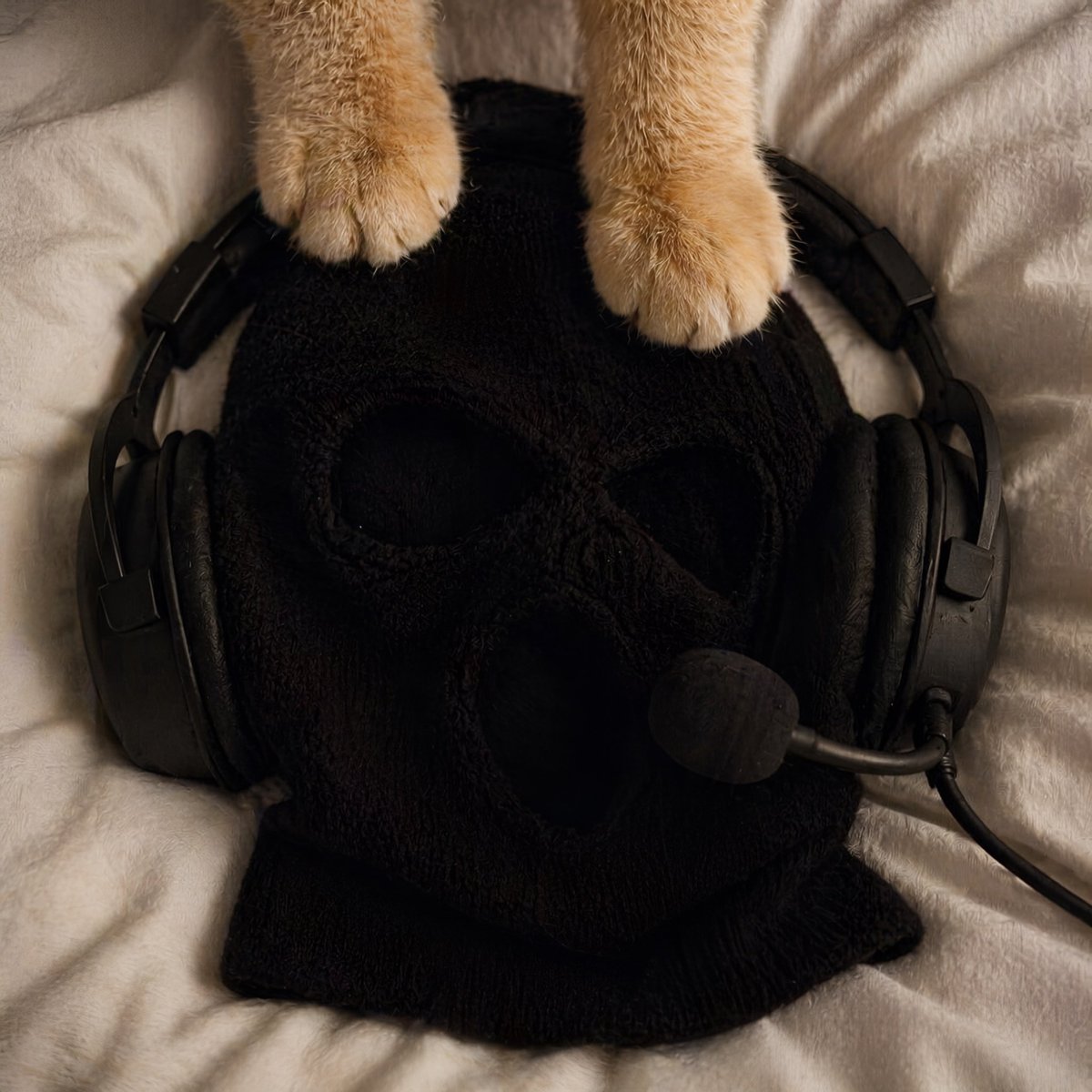 𖤓 𝔡𝔦𝔡𝔫 ✮✧ tweet media