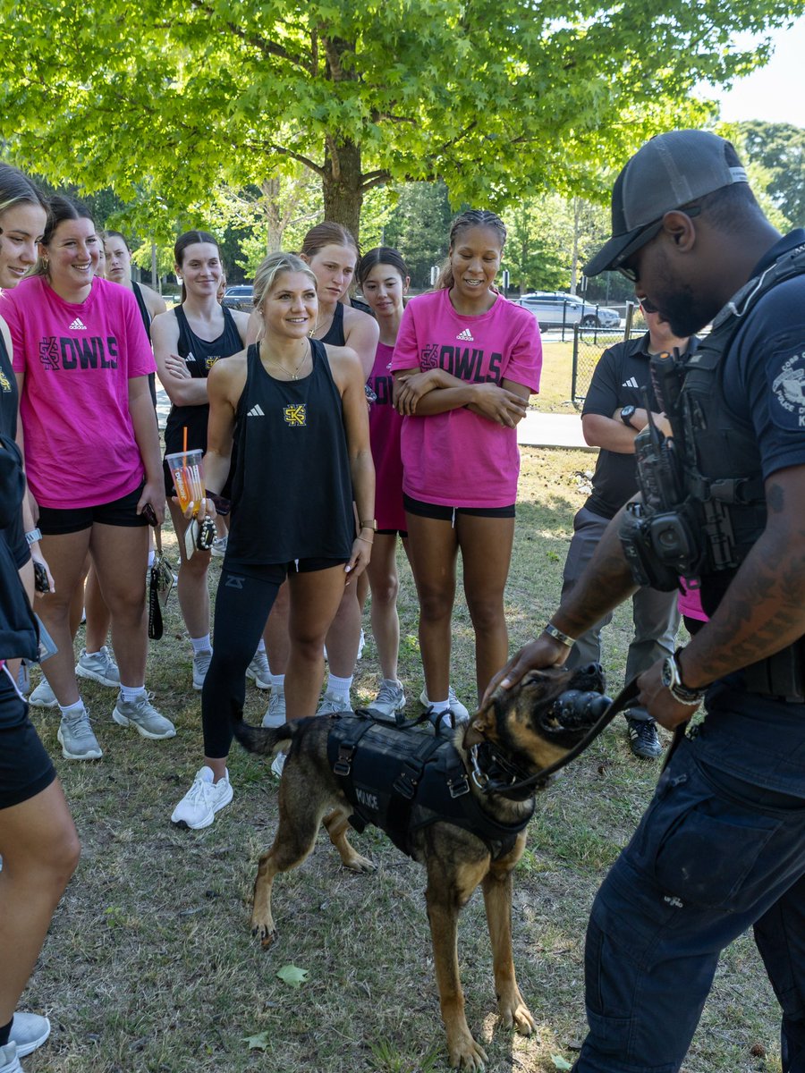 KSUOwlsWSOC's tweet photo. Thank you to Cobb PD for coming out to practice today! 

They brought out their K9 team out and did some bite work! 🐶

#HootyHoo | #OneShot https://t.co/CaUDJn7rt5