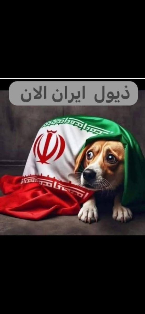 محمد العواد tweet media