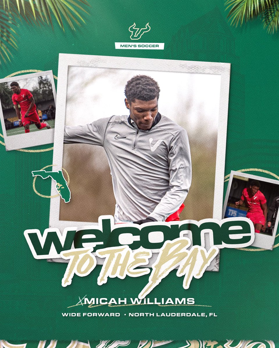 USFMSOC's tweet photo. Welcome to they Bay, Micah 🌴 https://t.co/GA3399SbY1