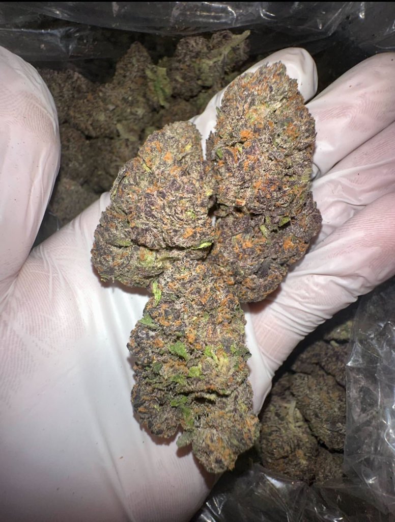 Weed Delivery Hawaii - Stoner Station tweet media