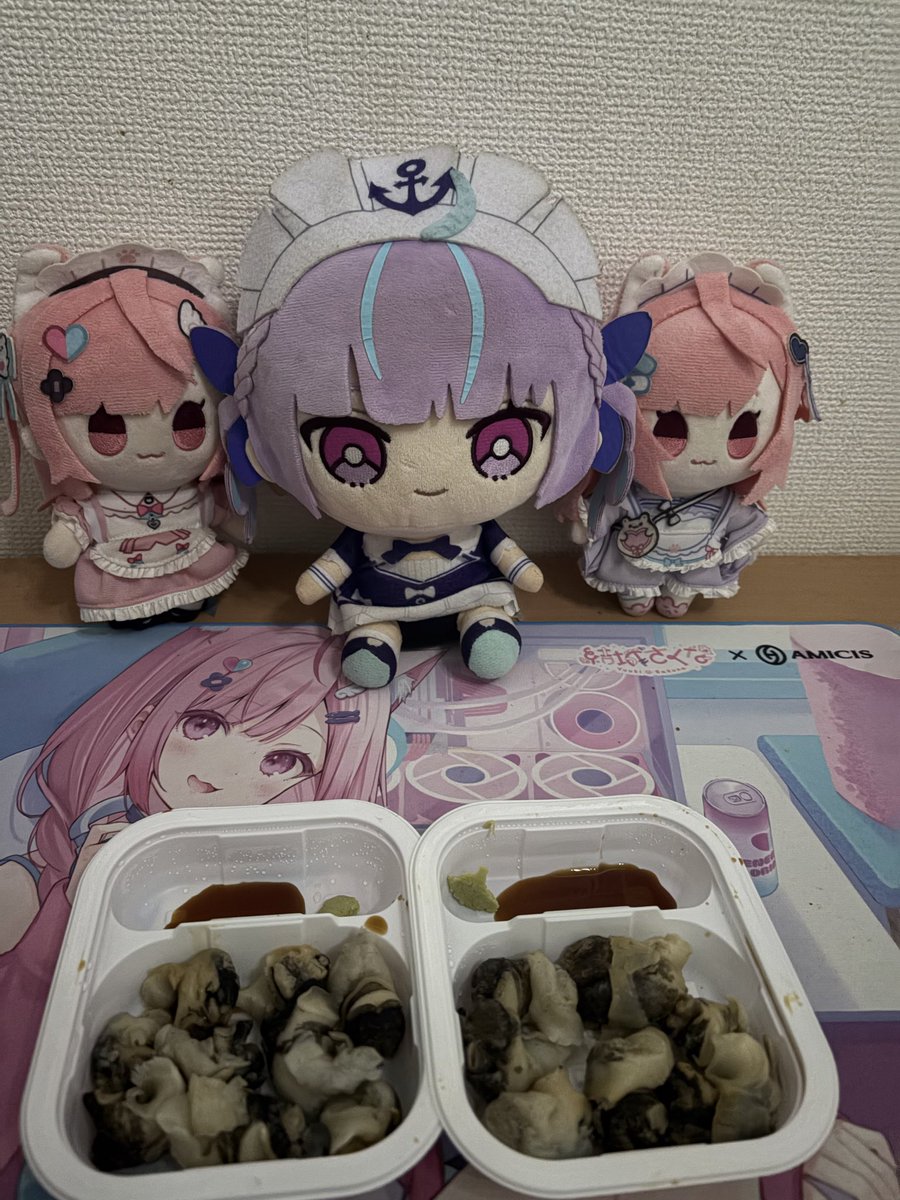 ぼんじん⚓️🎀🐾 tweet media