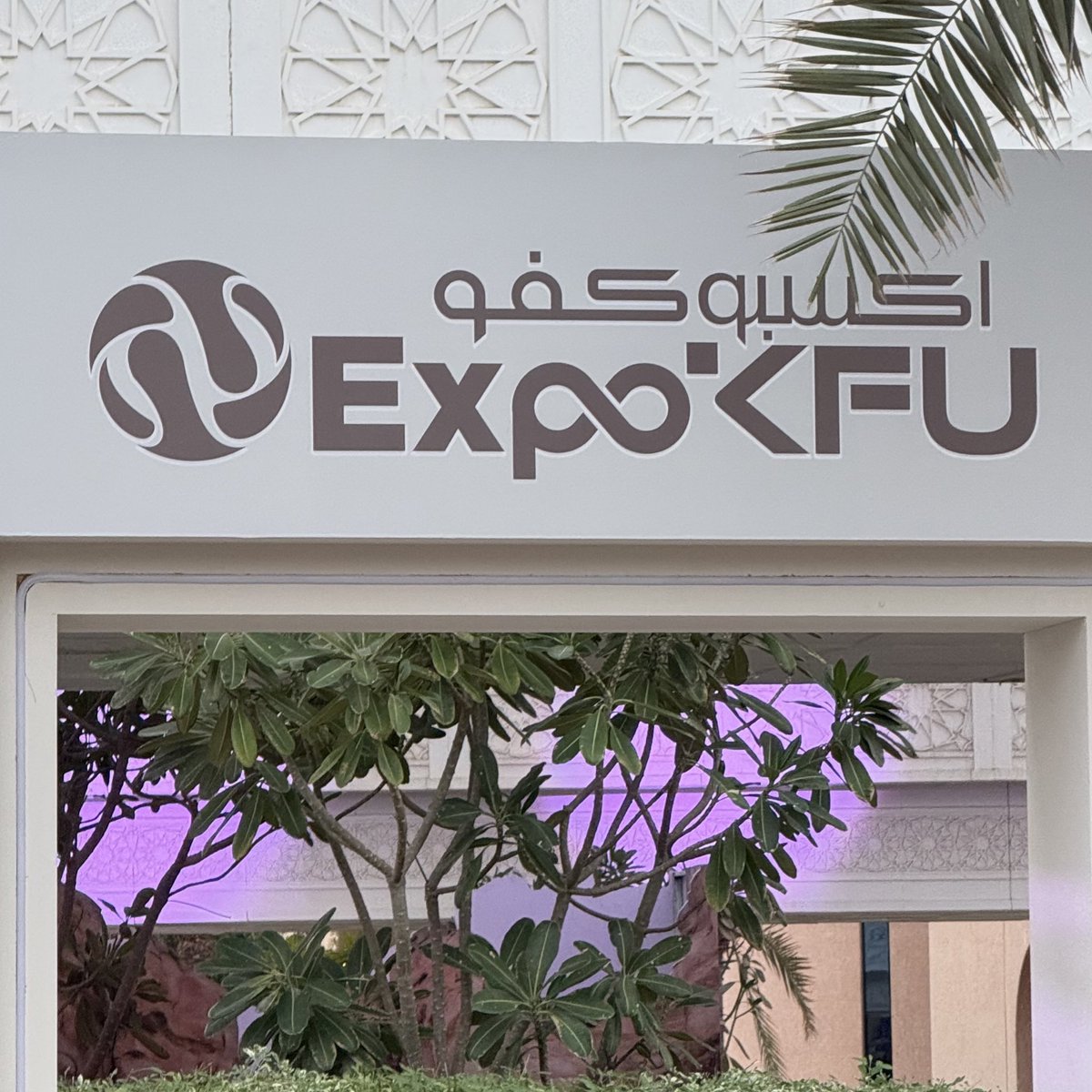 عائشه. tweet media