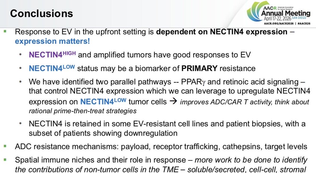 CChuMD's tweet photo. @jonchou05 delivers a tour de force presentation @AACR on resistance mechanisms to NECTIN4 therapy (enfortumab and CAR-T) in bladder cancer. @UCSFCancer 

#AACR26

The takeaways: https://t.co/9VhkyZ4etc