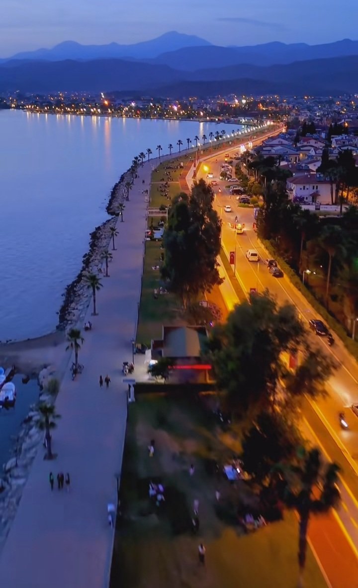 AYŞE 🇹🇷 tweet media