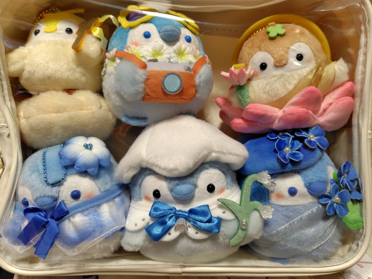 三浦寛子 tweet media