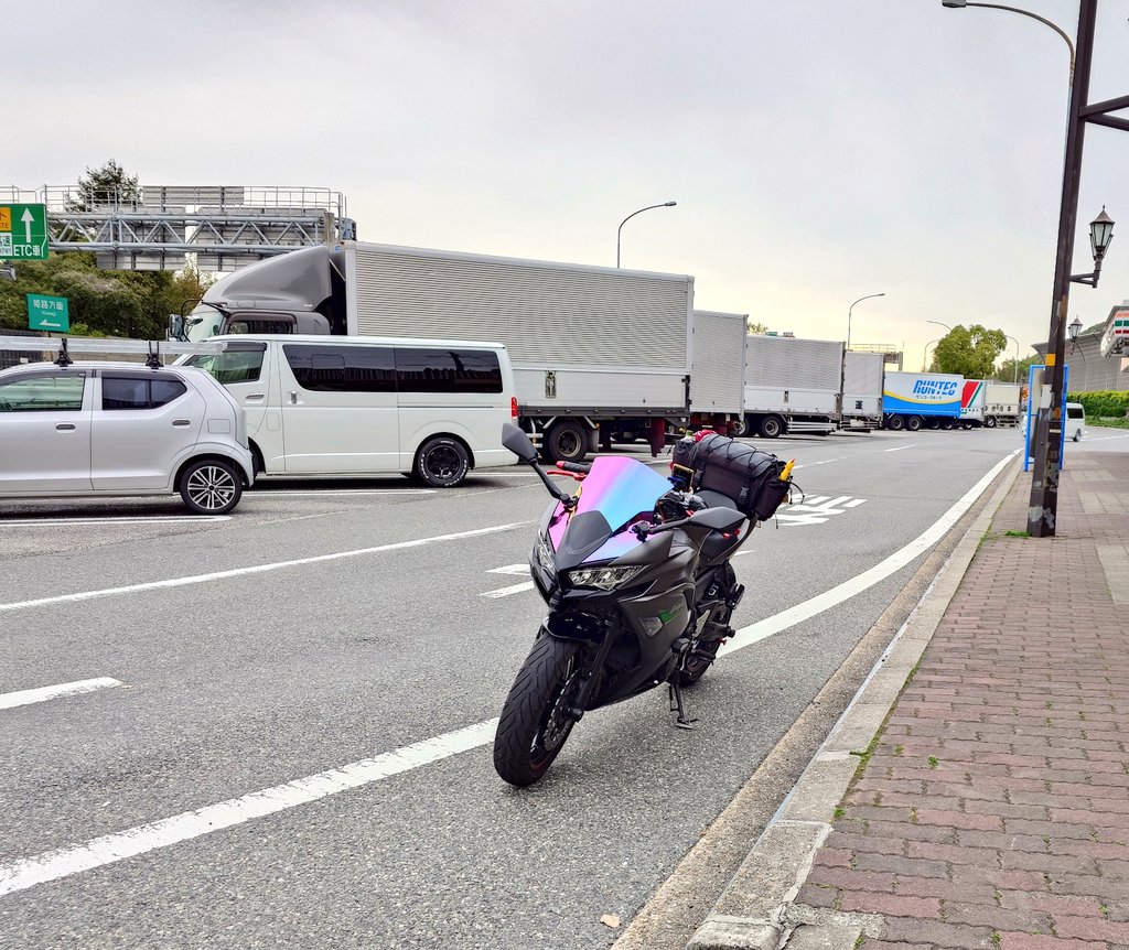 さなえ🍓 tweet media