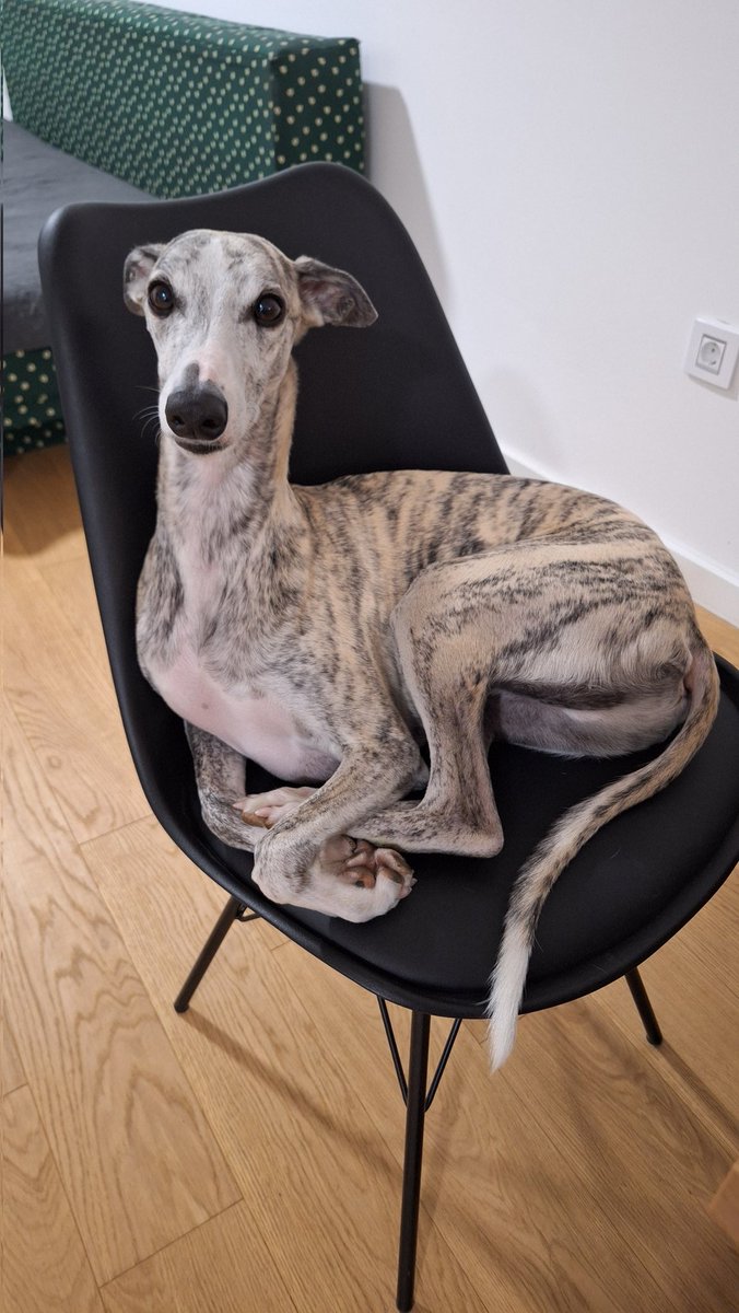 Paul&Jet tweet media