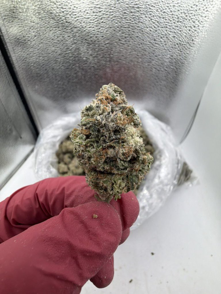 Weed Delivery Hawaii - Stoner Station tweet media