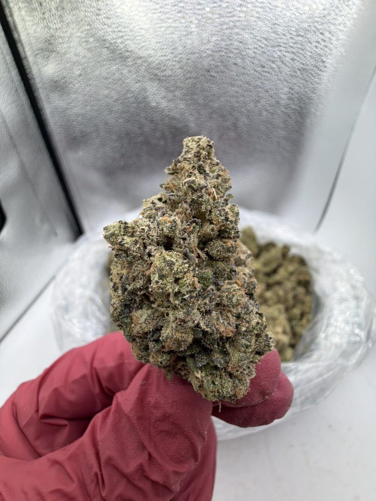 Weed Delivery Hawaii - Stoner Station tweet media