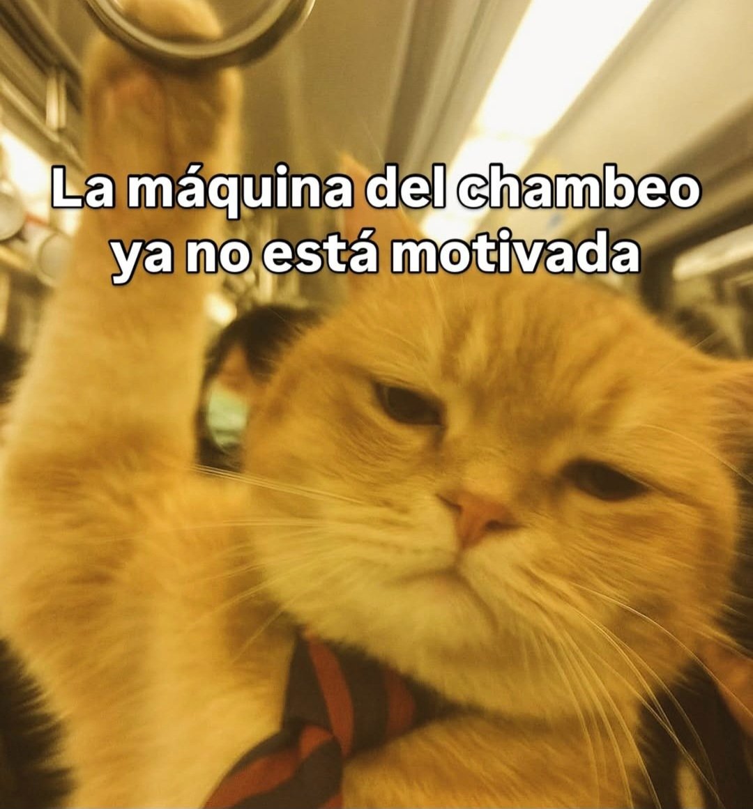 Javisness's tweet photo. https://t.co/0k9SsDM66D