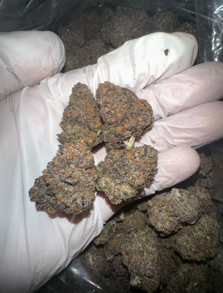 Weed Delivery Hawaii - Stoner Station tweet media