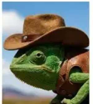 GheiWill tweet media