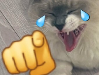 Una persona🐐💀 tweet media