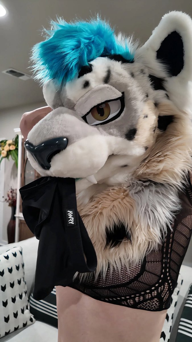 !! <a href="/AWRYMenswear/">AWRY</a> has you lookin good with them on or off~👀

Pspsps don’t forget the discount code👀  
                              SWIFTY27
awrymenswear.com/SWIFTY27

#furry #furrycommunity #fursuit #furries #fursuiteveryday