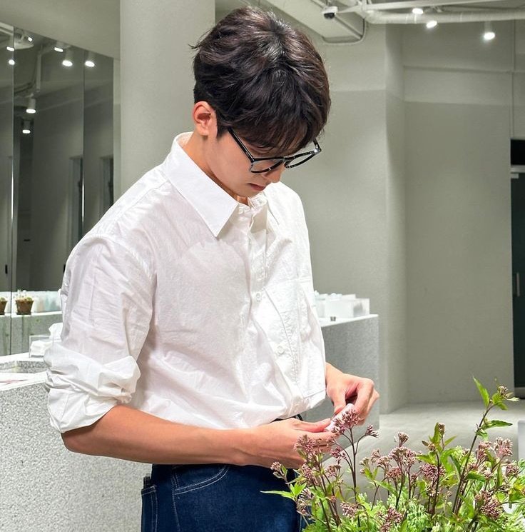 afu. (mw & jd ver.) tweet media