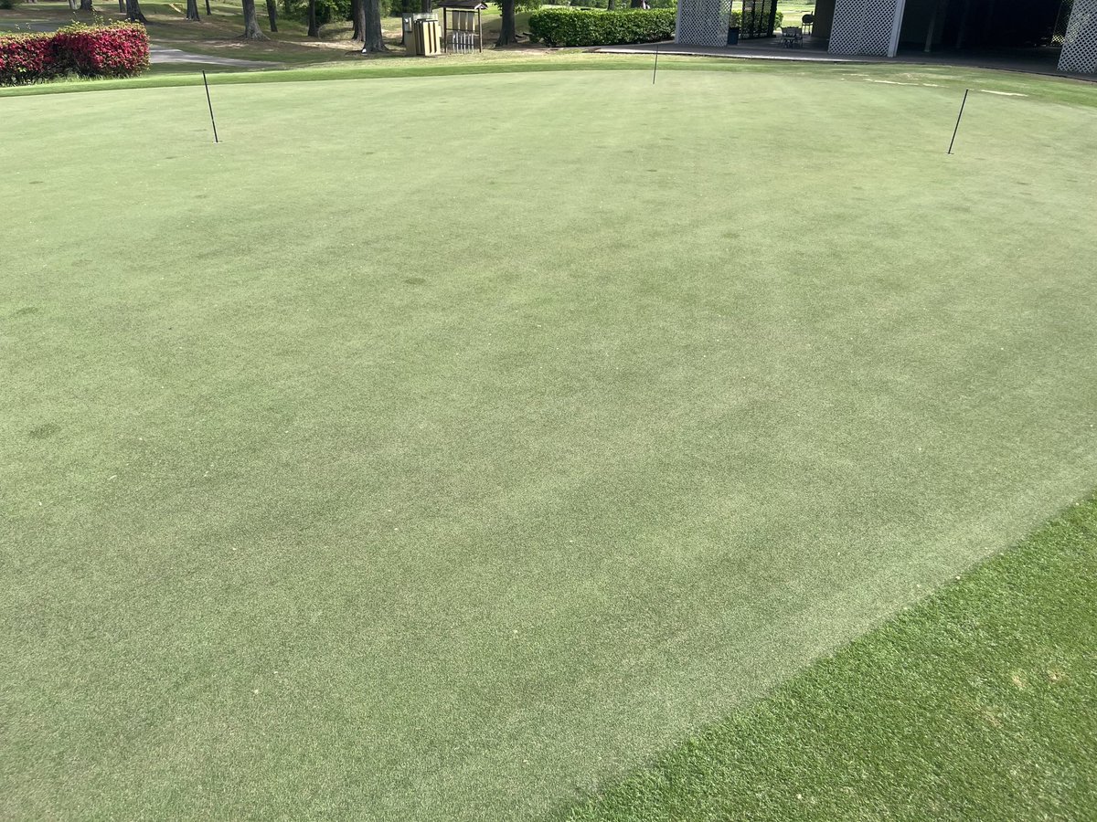 The greens at Wedgewood are looking great!  Wes and the crew have done an outstanding job getting the course in shape so early in the season.