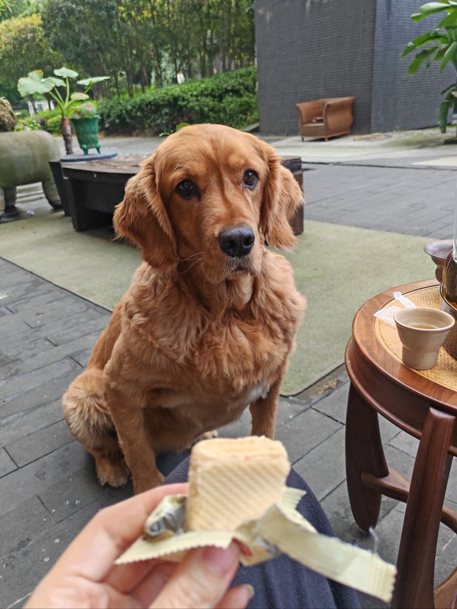 All Things Arch&Eng tweet media