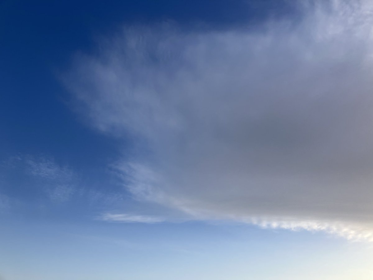 シャル～😙 tweet media