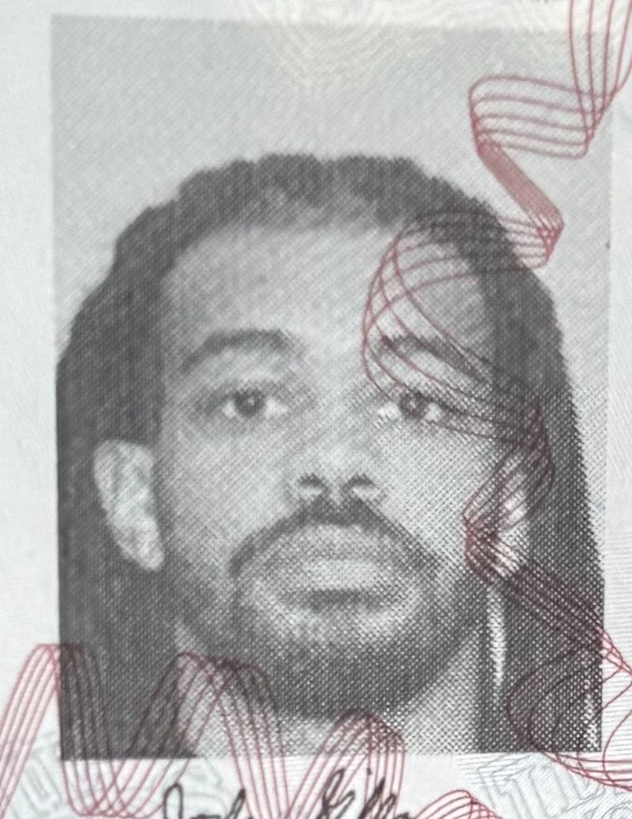 gillyszn's tweet image. #growth