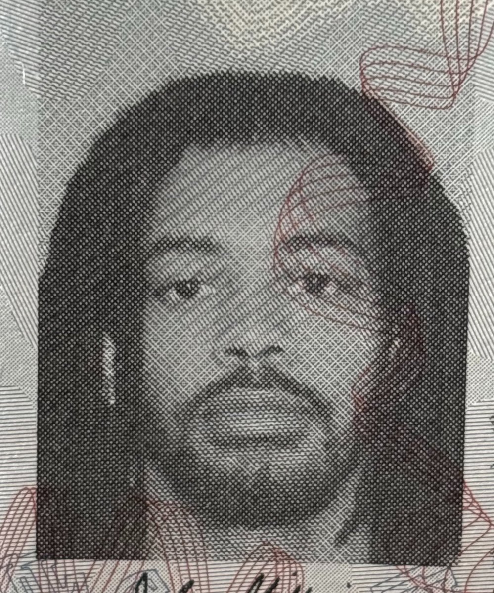 gillyszn's tweet image. #growth