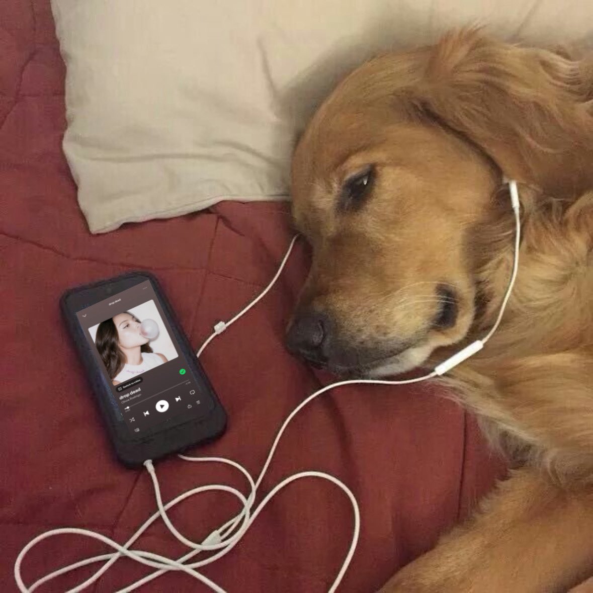 Elle GIRL SO IN LOVE 🩷 tweet media