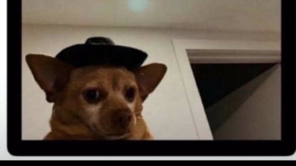 But u no hate lizard