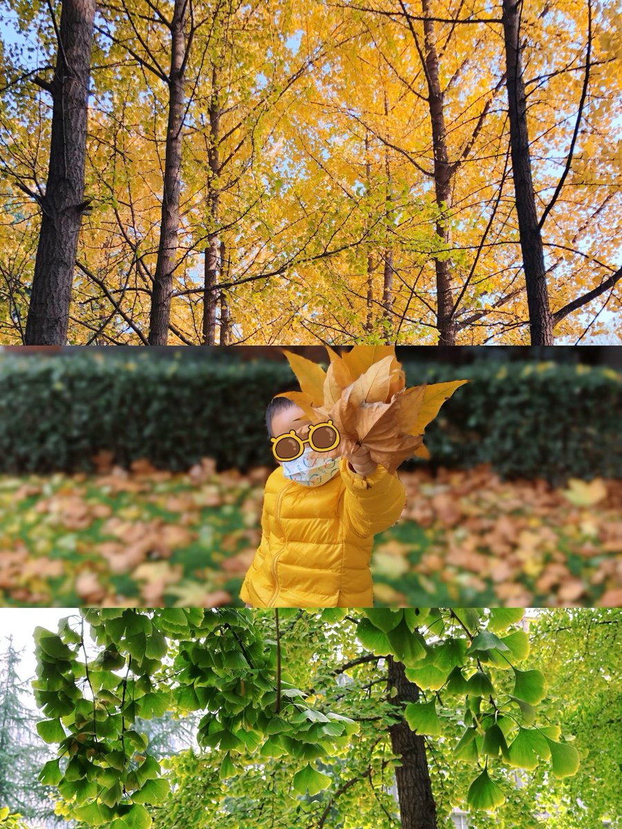 AliCeng33318840's tweet image. Community Clean-Up Day!  Join us this Saturday, 9 AM at Maple Park to spruce up our neighborhood. Bring gloves u0026 a water bottle—snacks + reusable bags provided! Let’s keep our space fresh u0026 friendly. All ages welcome!   #NeighborhoodLove #KeepItClean