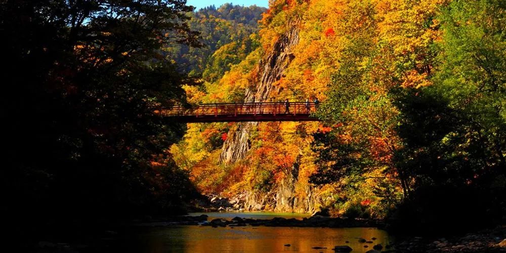 Samuel Carr tweet media