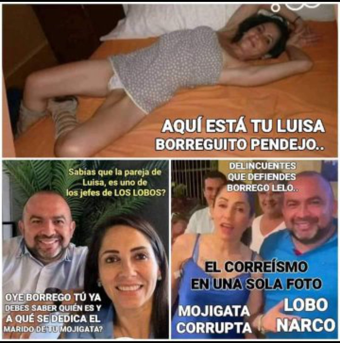 <a href="/ElDatoEcua/">El Dato Ec</a> <a href="/chacon_anabelle/">ANABELLE CHACON</a> Delincuente política es muy diferente a Perseguida política 
México y España protege a corruptos ecuatorianos.
Nunca podrá justificar sus dineros y lujos que se da sin trabajar??