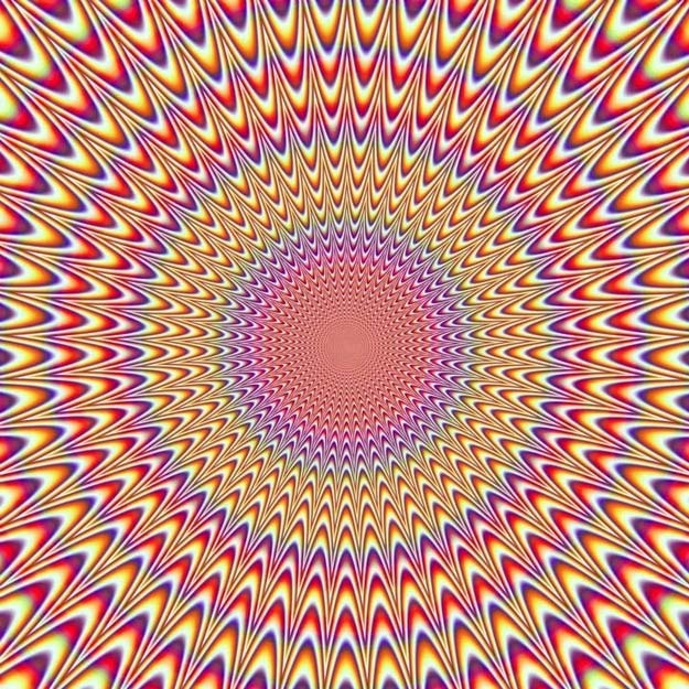 ゆうき🇺🇸人間心理の先生 tweet media