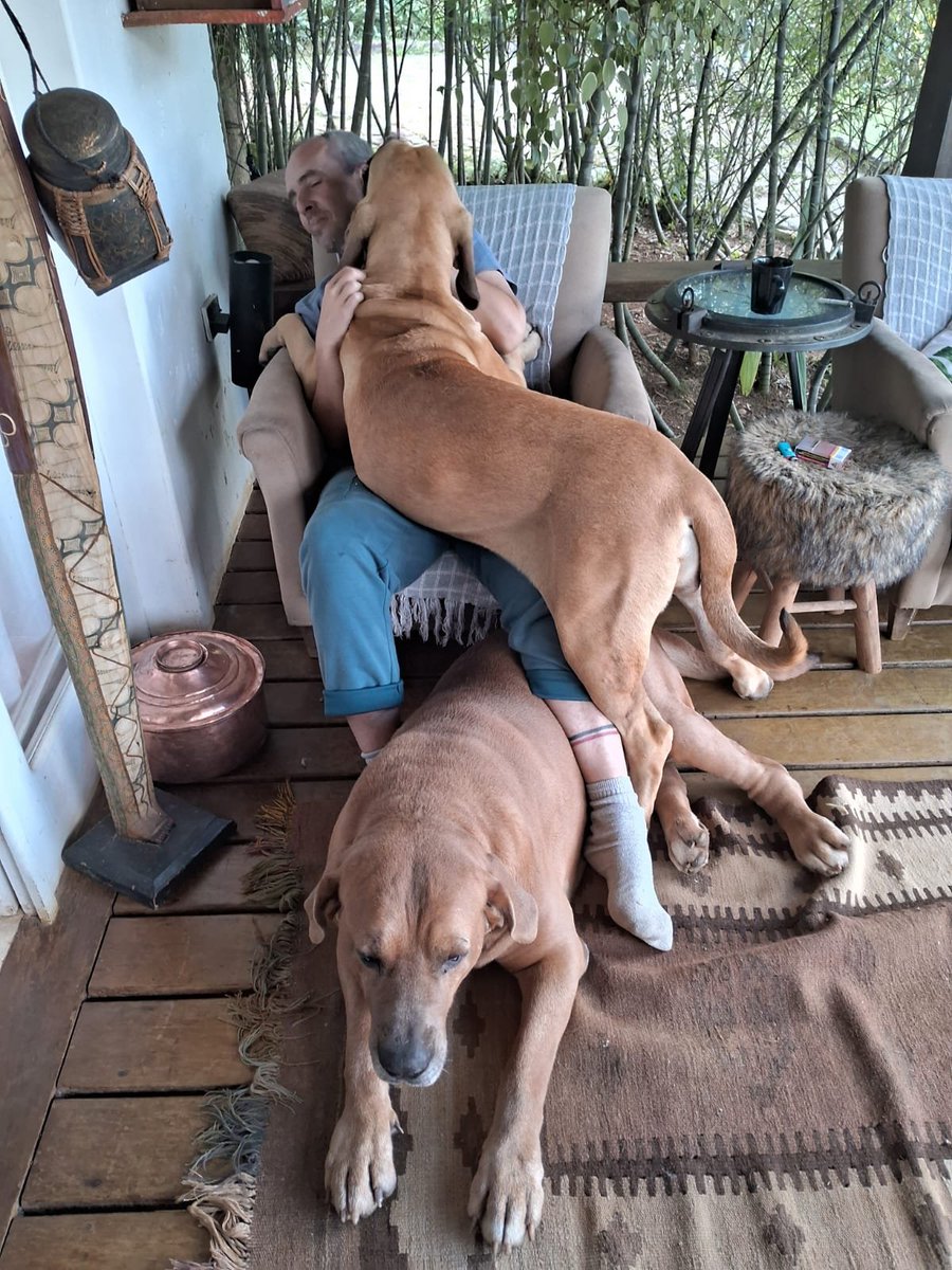 raromatheus's tweet image. Nós 3. 
Meus companheiros de vida. 
#filabrasileiro #fila #dogs