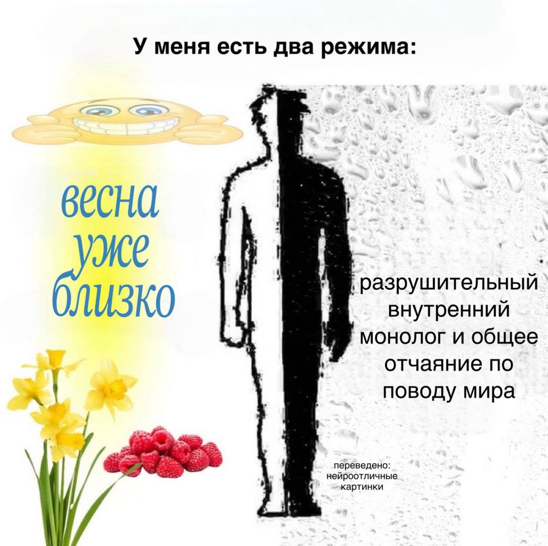 meows 🃏 tweet media