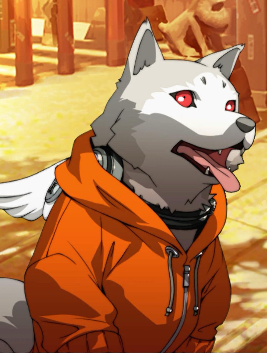 Junpei_Has_Leveled_Up tweet media