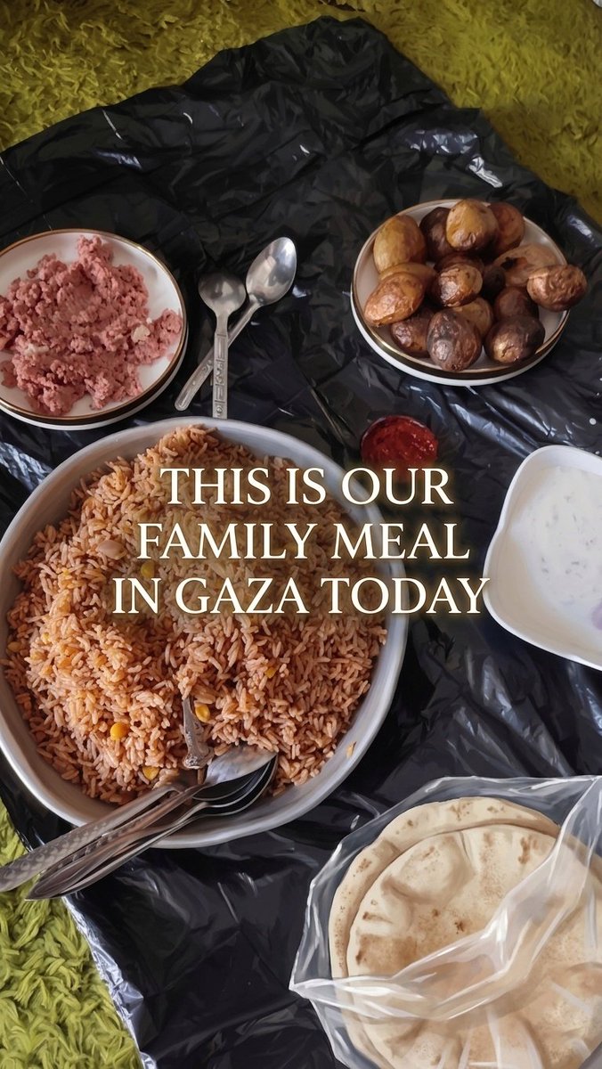 This is my family's food today.

We are having difficulty raising funds, and now we are stuck in Gaza 💔🇵🇸
Without donations, we will not be able to survive.
We do not have enough donations yet — please help or share 🙏
gofundme.com/f/urgent-assis…
