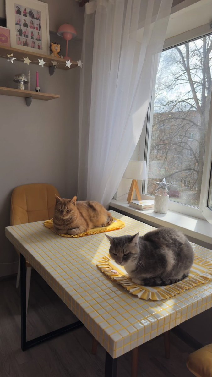 Виталя пишет код tweet media