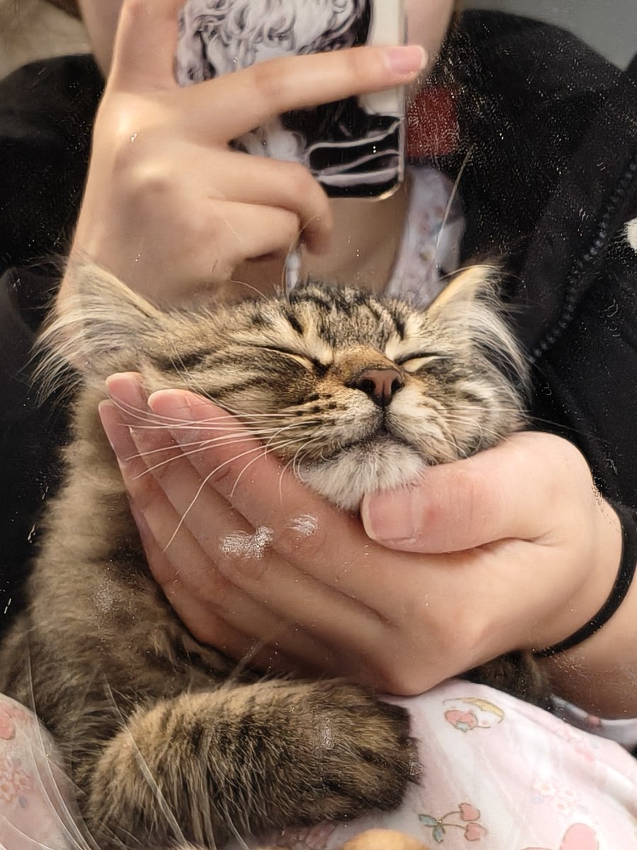 地球不耐受 tweet media