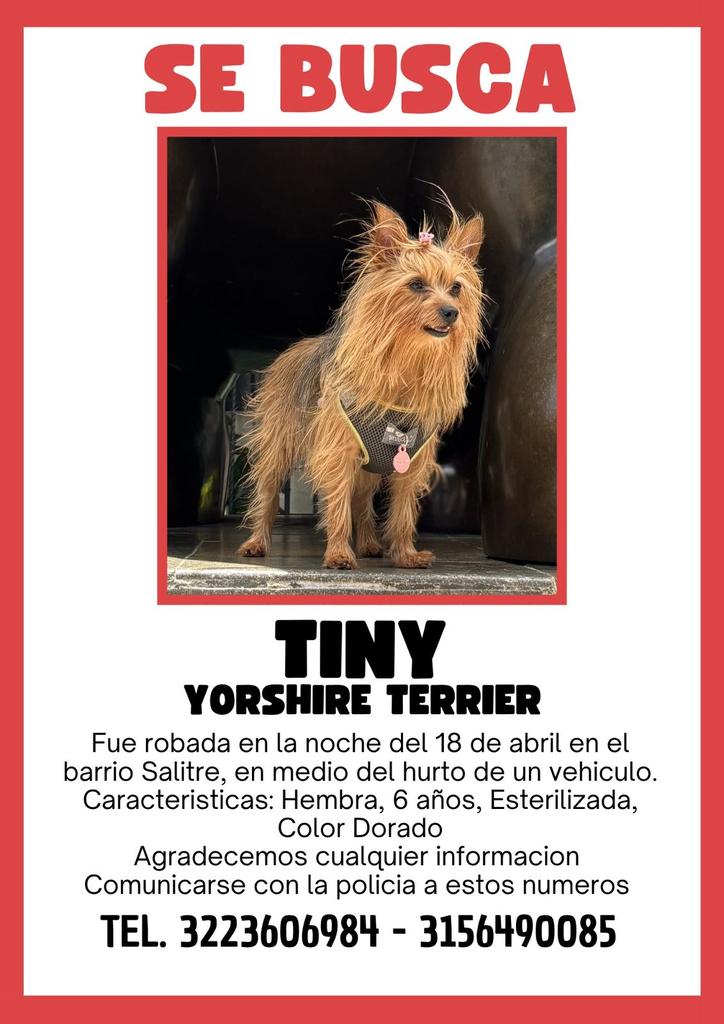 Mafe Rojas tweet media