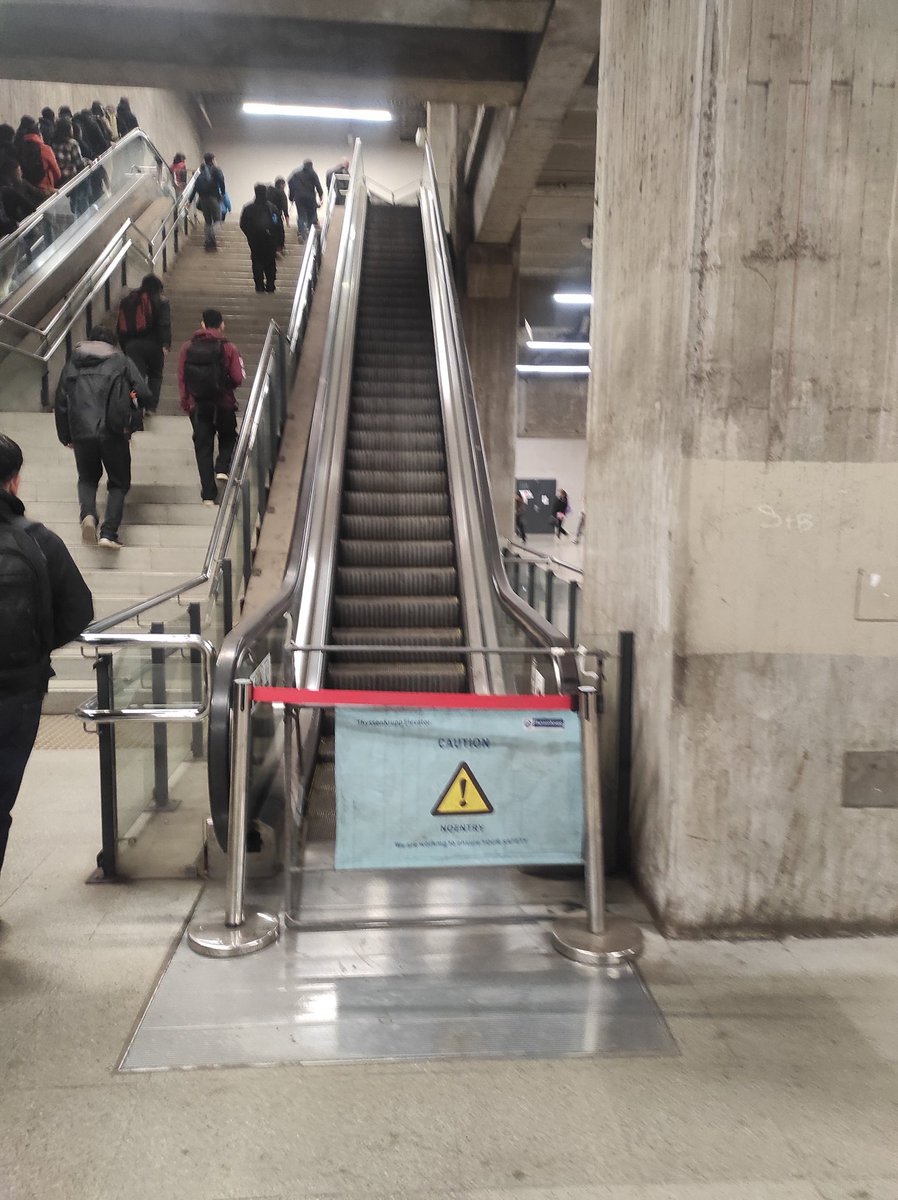 luisinlandaes. tweet media