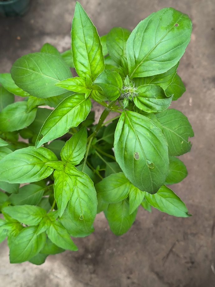 Anna Ostrowska tweet media