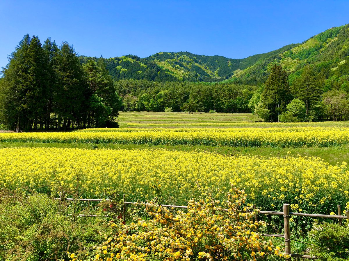 『城元三姉妹』（松本市ご当地萌えキャラ） tweet media