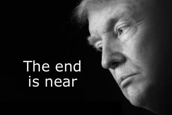 TLangley99's tweet image. 🍊NotSoBreakingNews 🤡 
It's #TACO Tuesday..... again!
🐔 🐥 🍗 🐤 🐣 🐓 🐔