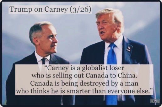 Benfica the Cat 🐈‍⬛🐾💕 tweet media