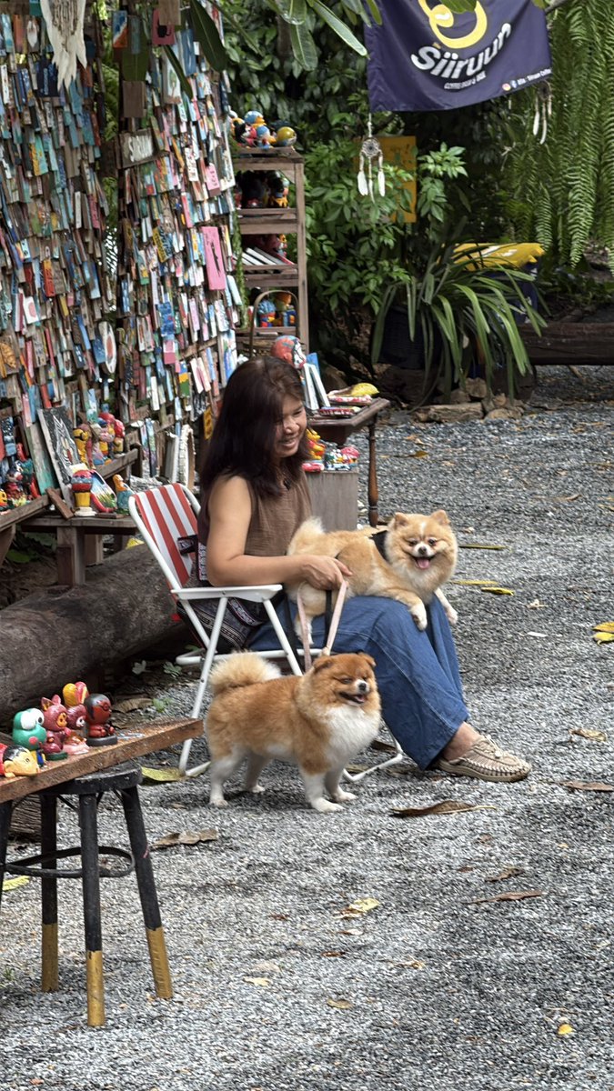 mydayon.vibe💡🥣 tweet media