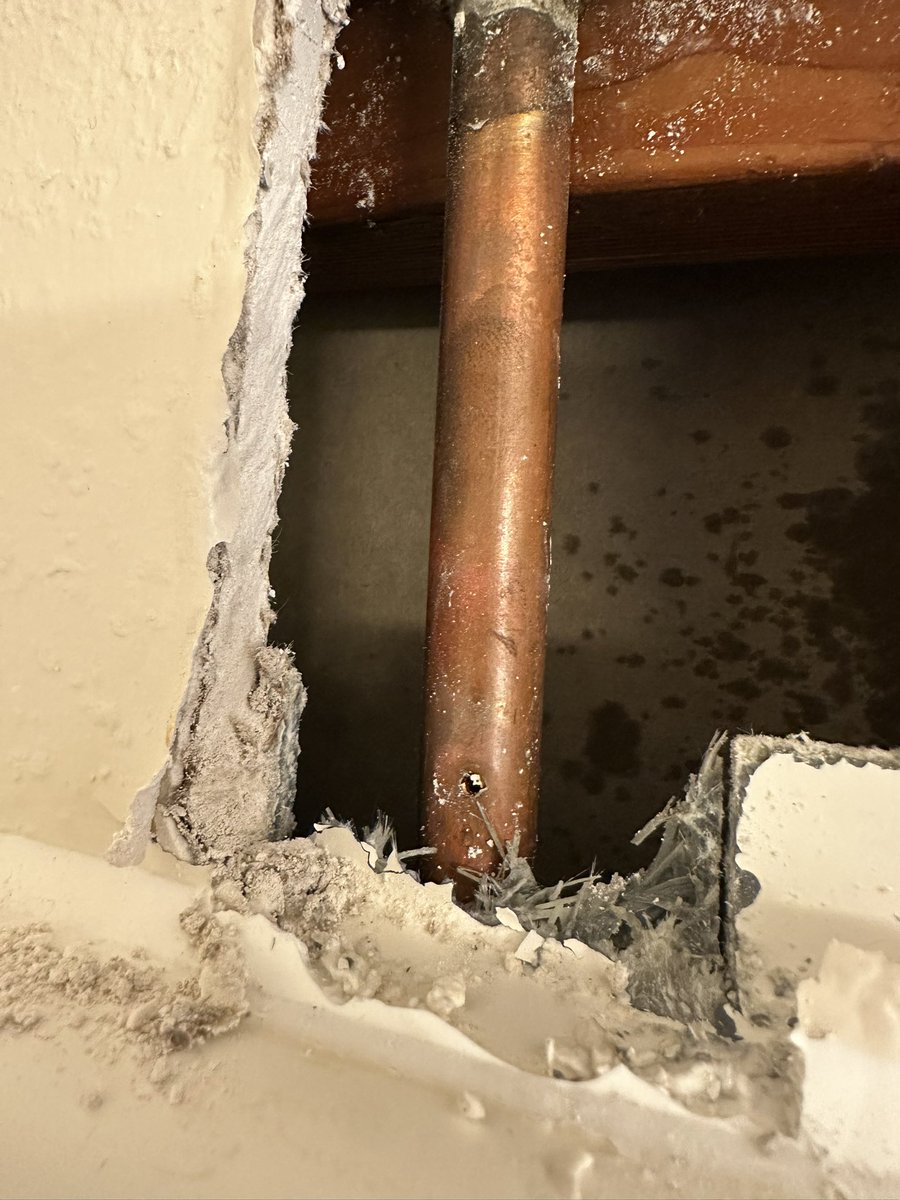 Todd Llewellyn tweet media