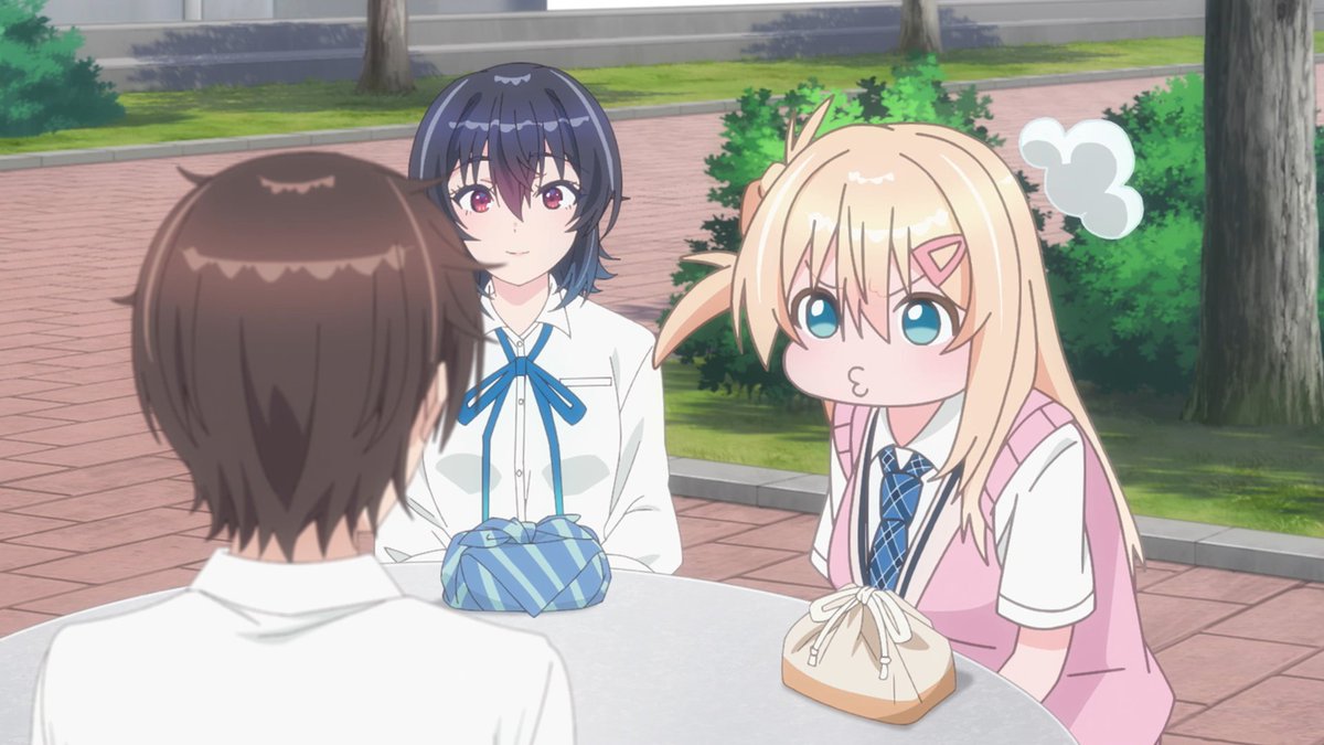 Bruno Halls tweet media