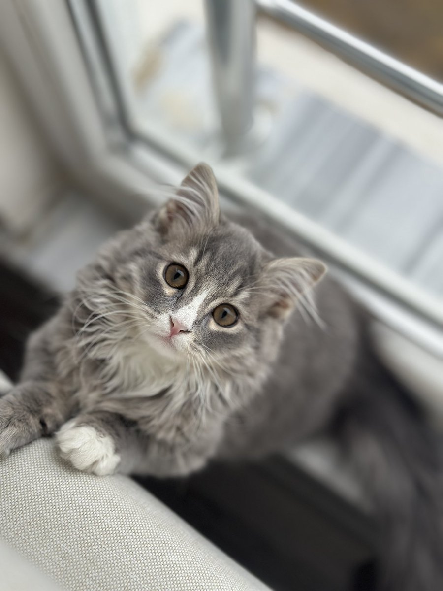 Benim oğluşumun adı da Pirinç 🥺  
Güzeller güzeli bebeğim çok özledim