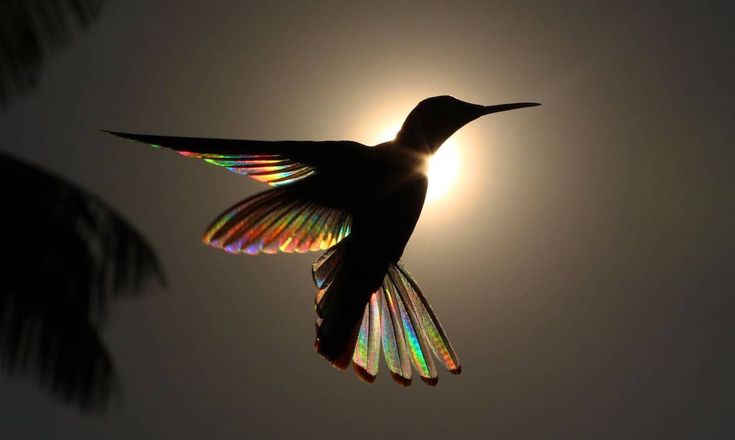 𝒍𝒖𝒏𝒂 tweet media