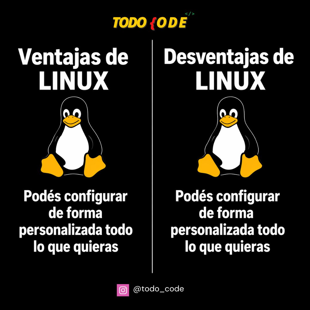 Todo Code tweet media